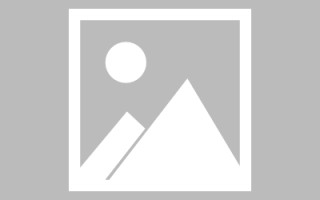 郑州网页设计英文默认字体（网页设置英文转换中文）